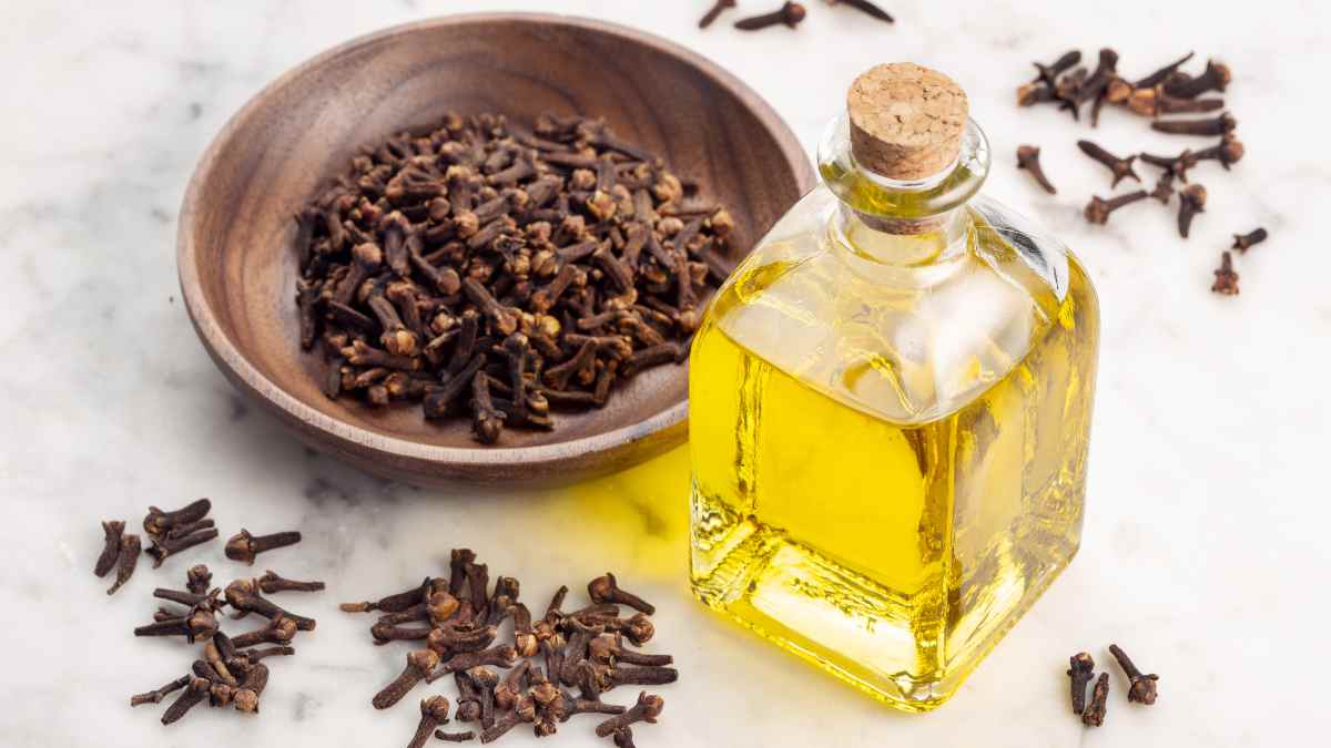 clove essential oil