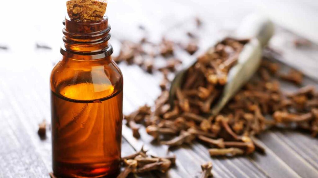 clove oil